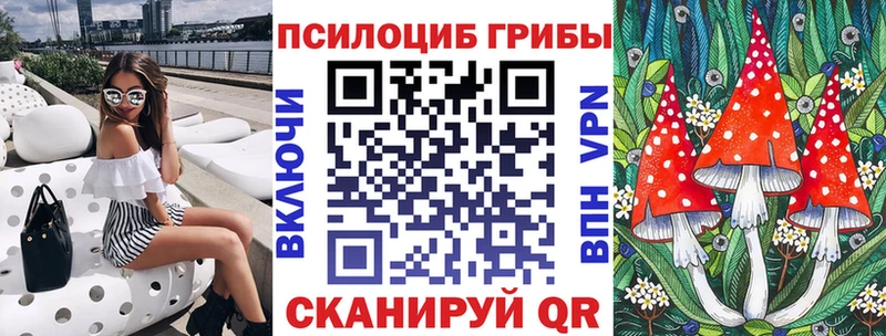 наркошоп  Пустошка  Псилоцибиновые грибы мицелий 